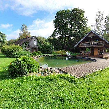 Jaunzemji Villa Dzeņi Dış mekan fotoğraf