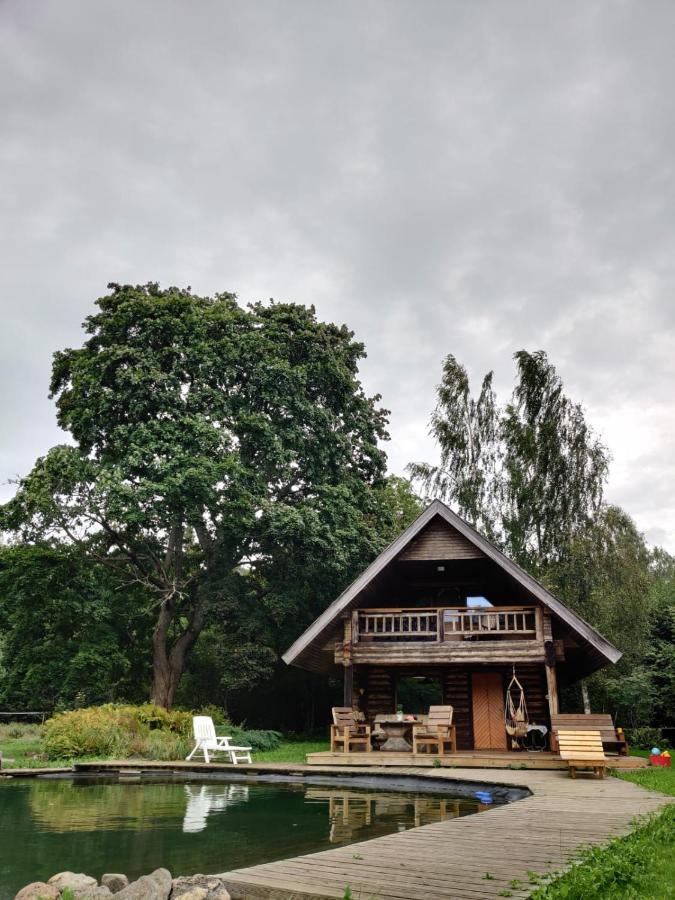 Jaunzemji Villa Dzeņi Dış mekan fotoğraf