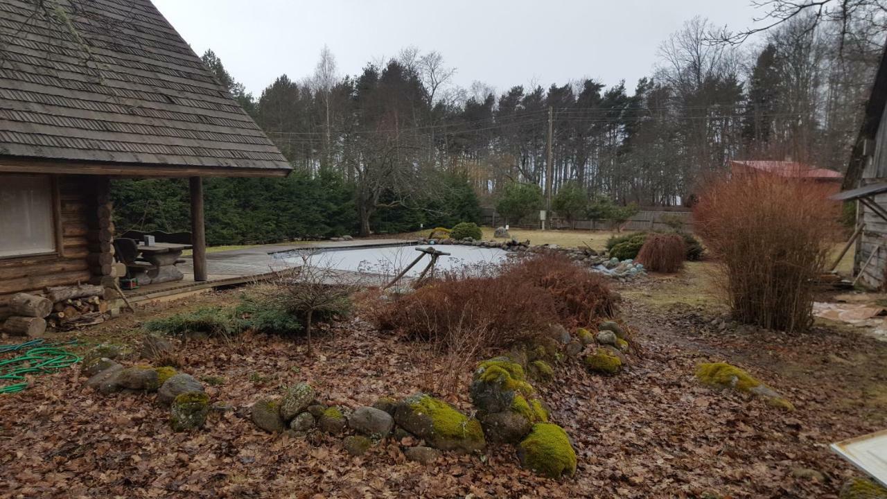 Jaunzemji Villa Dzeņi Dış mekan fotoğraf