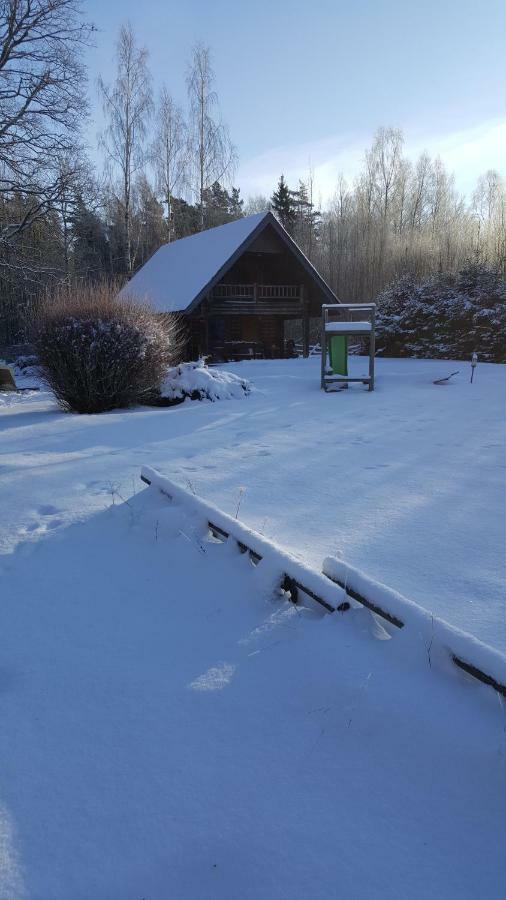 Jaunzemji Villa Dzeņi Dış mekan fotoğraf
