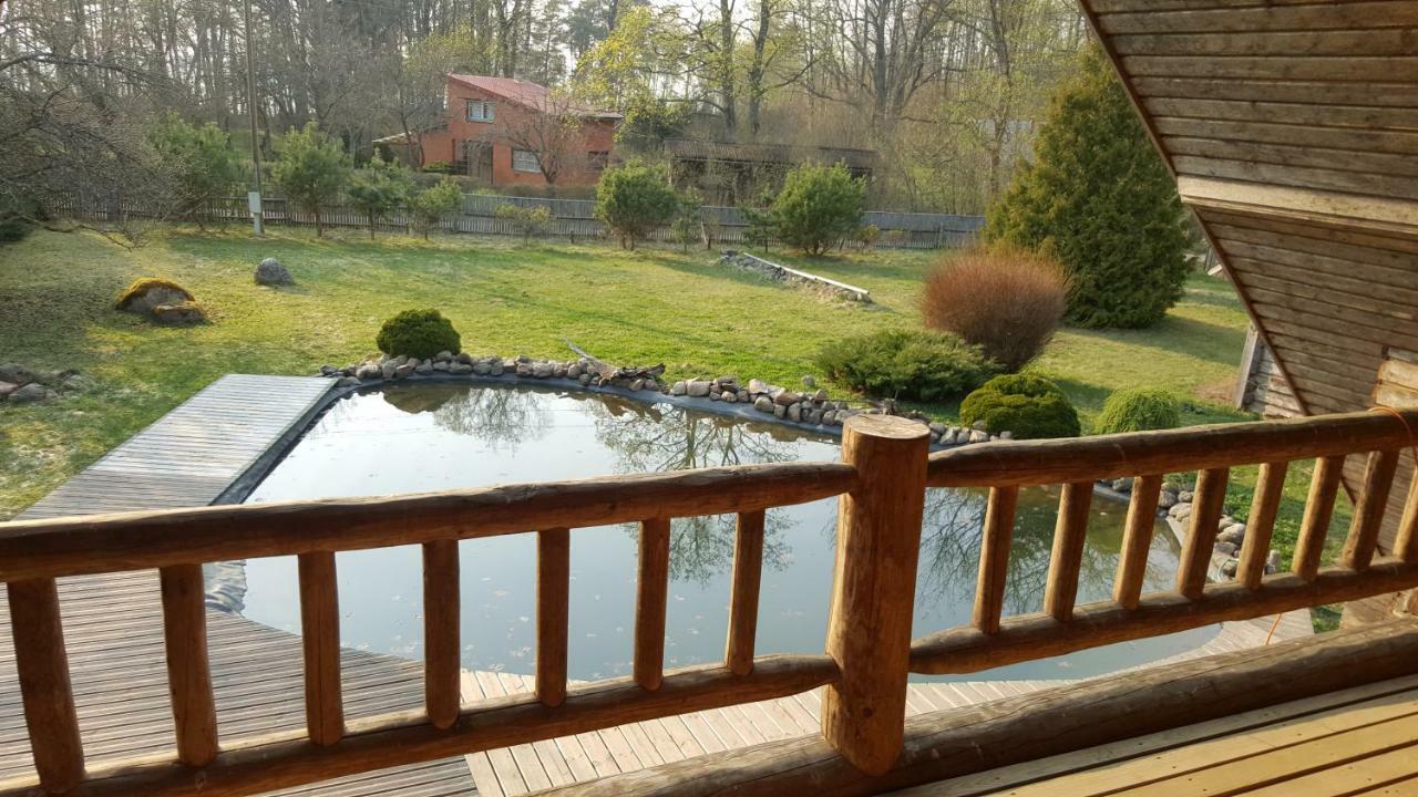 Jaunzemji Villa Dzeņi Dış mekan fotoğraf