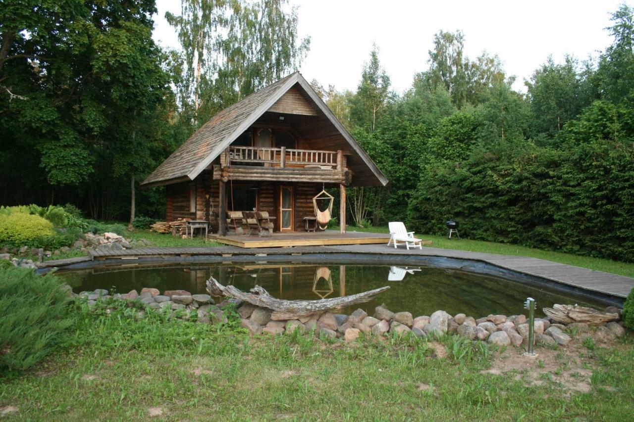 Jaunzemji Villa Dzeņi Dış mekan fotoğraf