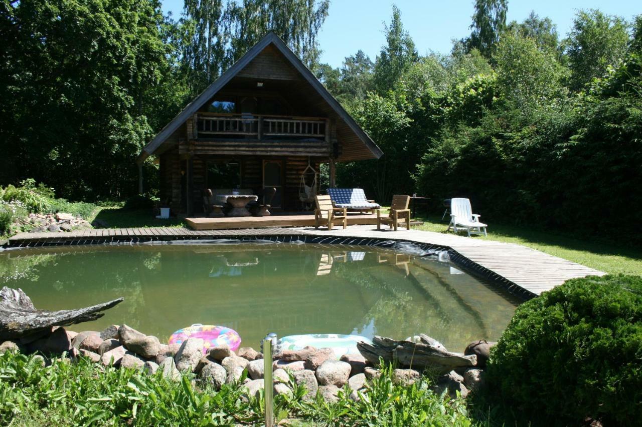 Jaunzemji Villa Dzeņi Dış mekan fotoğraf